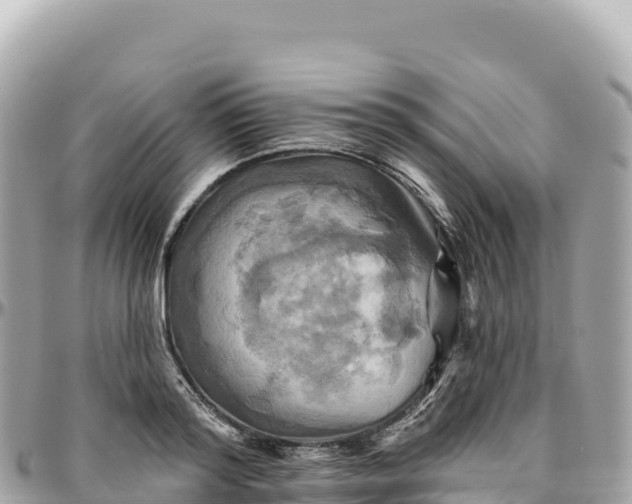 X0000095880796200801251139