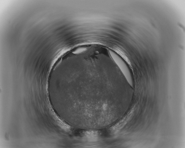 X0000095880797200801251139