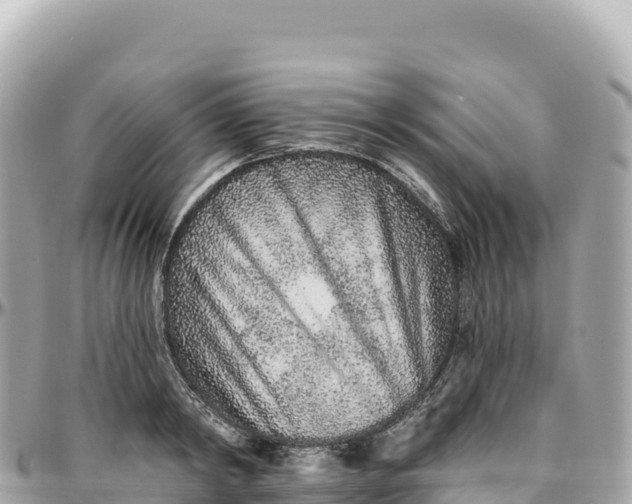 X0000095880798200801251139