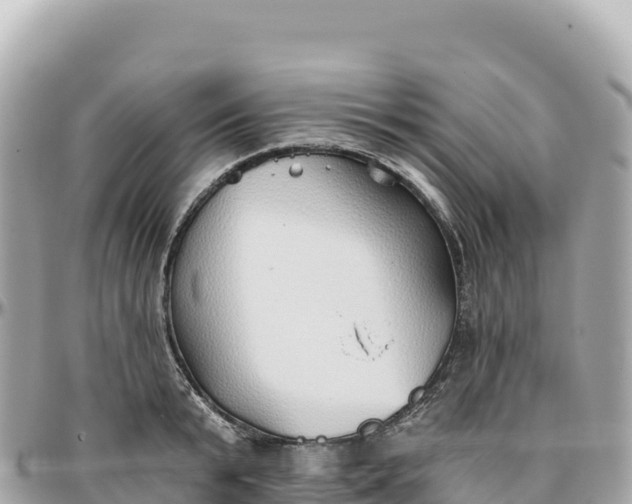 X0000095880799200801251139