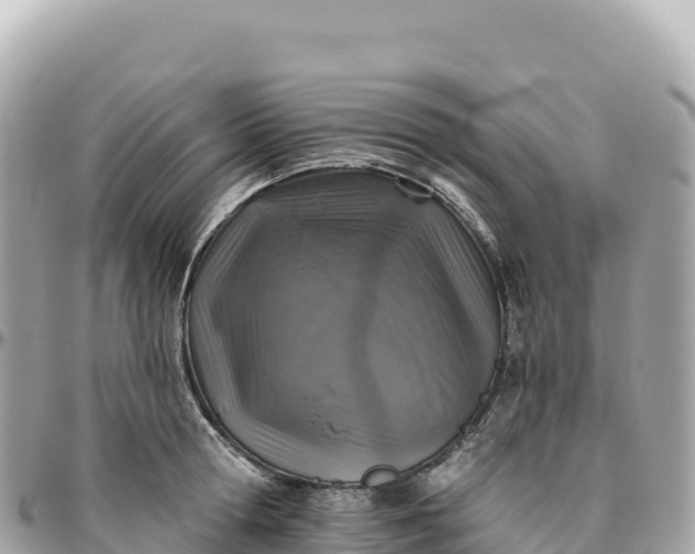 X0000095880802200801251139