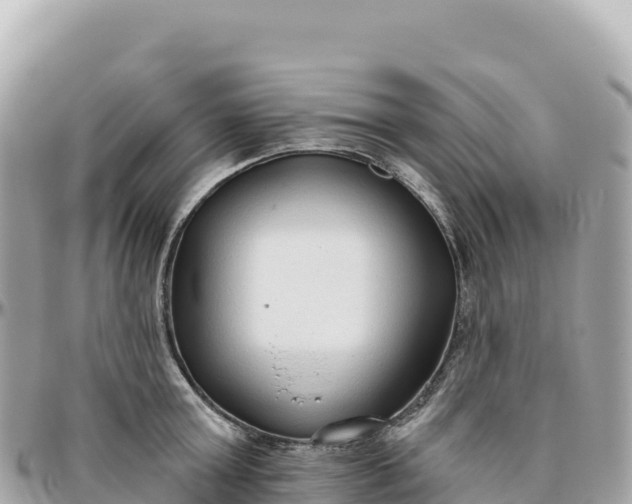 X0000095880803200801251139