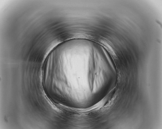 X0000095880804200801251139