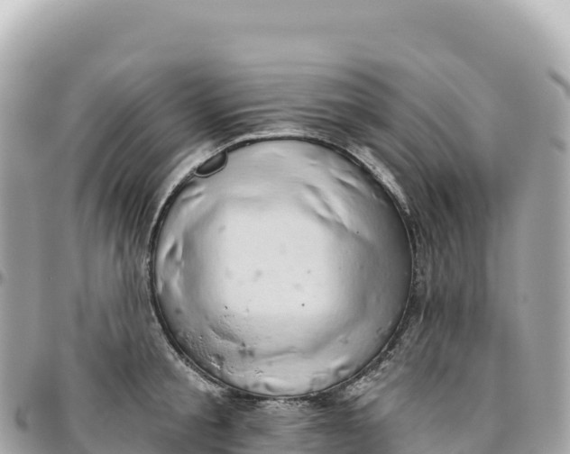 X0000095880805200801251139