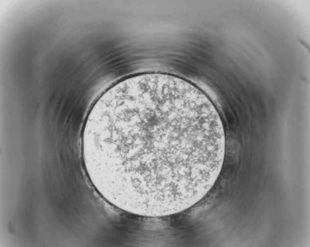 X0000095880807200801251139