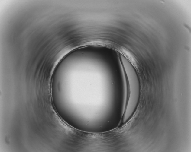 X0000095880808200801251139