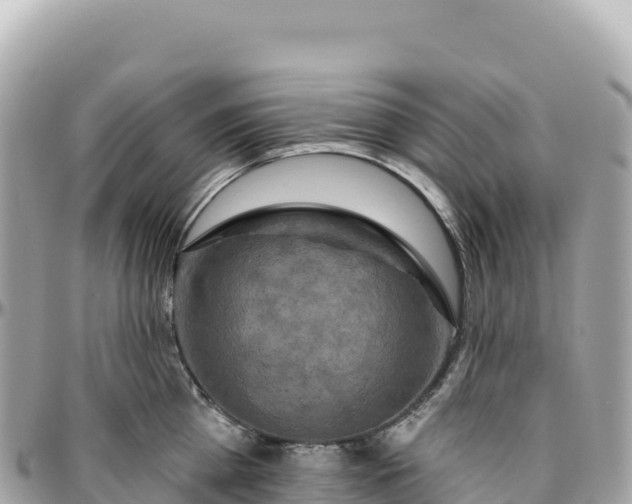 X0000095880809200801251139