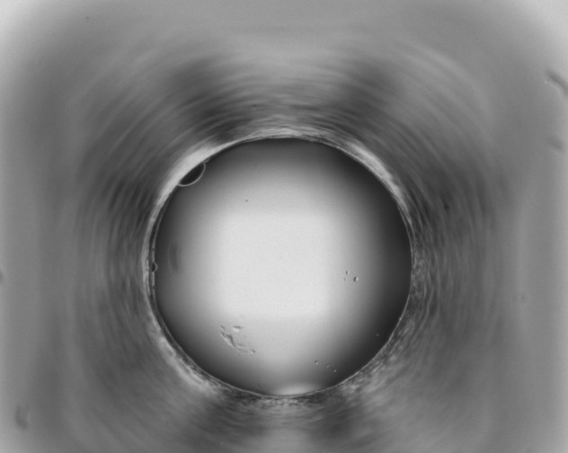 X0000095880811200801251139