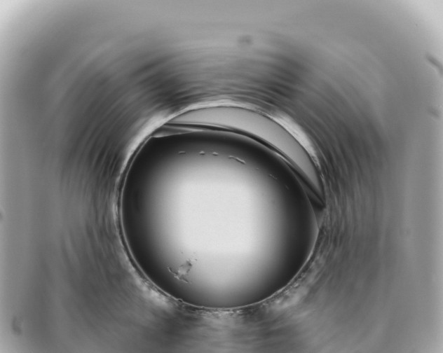 X0000095880813200801251139