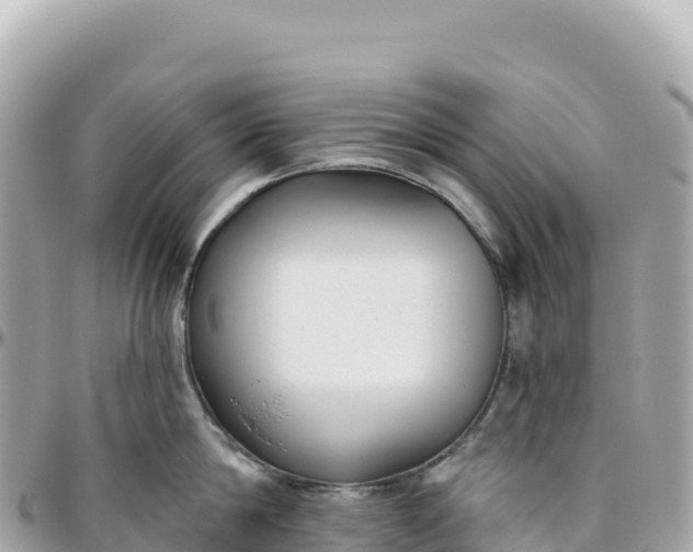 X0000095880814200801251139