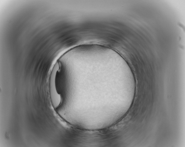 X0000095880816200801251139