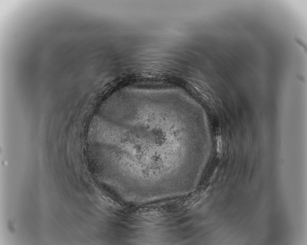 X0000095880817200801251138