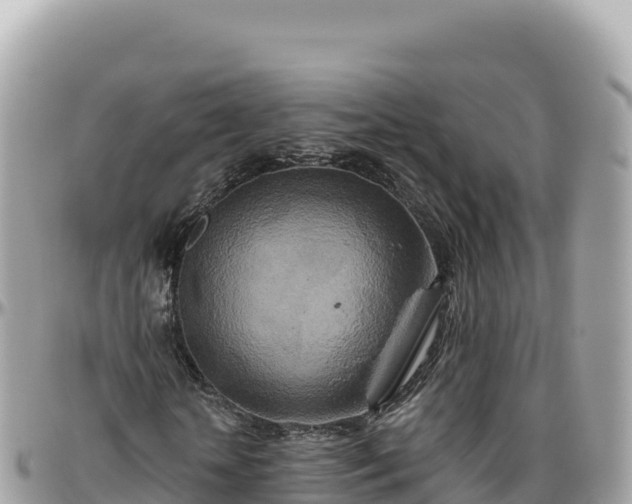 X0000095880818200801251138