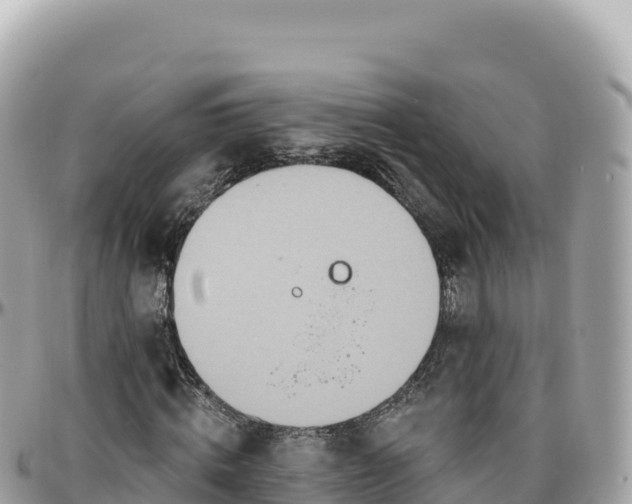 X0000095880820200801251138