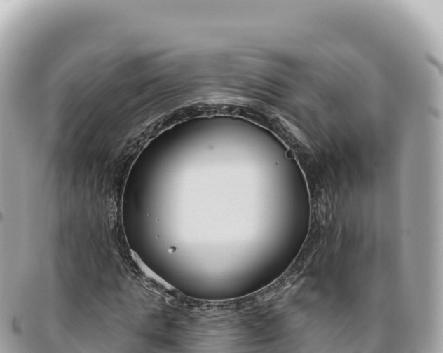 X0000095880821200801251138