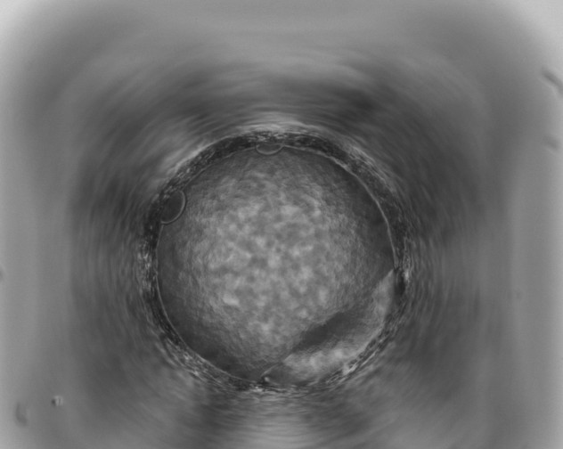 X0000095880822200801251138