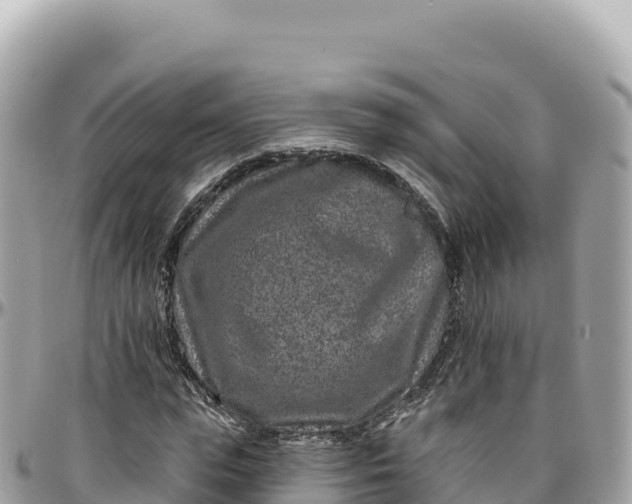 X0000095880823200801251138