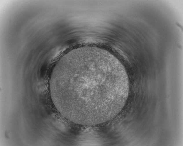 X0000095880824200801251138