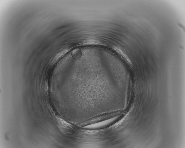 X0000095880825200801251138