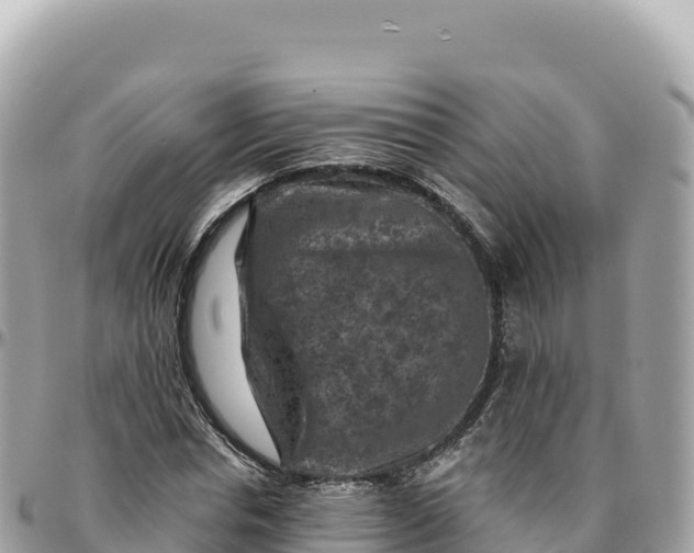 X0000095880826200801251138