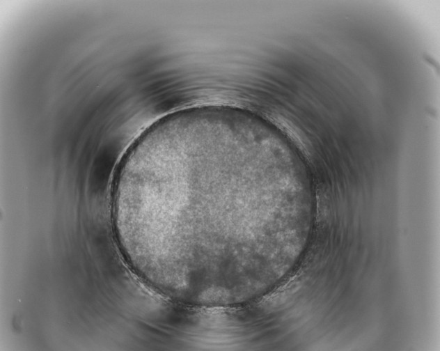 X0000095880828200801251138