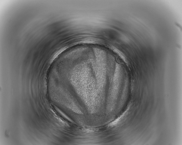 X0000095880829200801251138