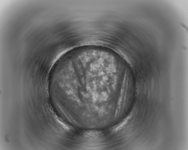 X0000095880830200801251138