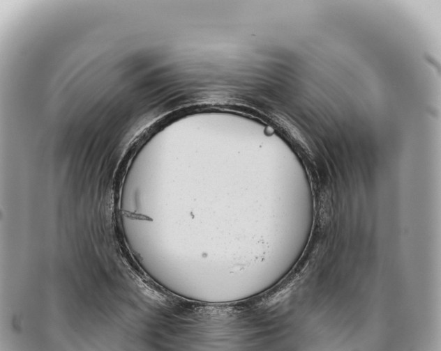 X0000095880831200801251138