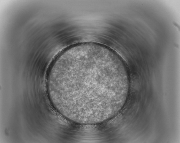 X0000095880832200801251138