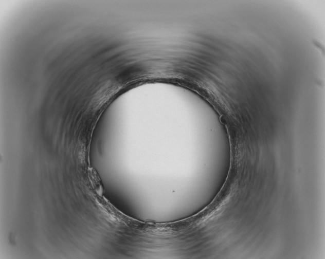 X0000095880833200801251138