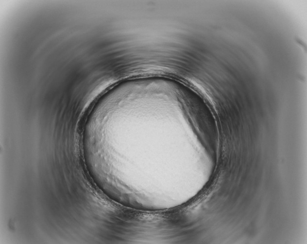 X0000095880835200801251138