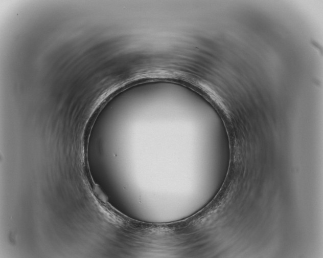 X0000095880837200801251138