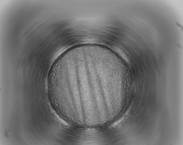 X0000095880839200801251138