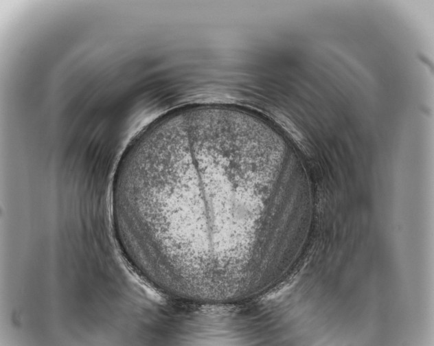 X0000095880840200801251138