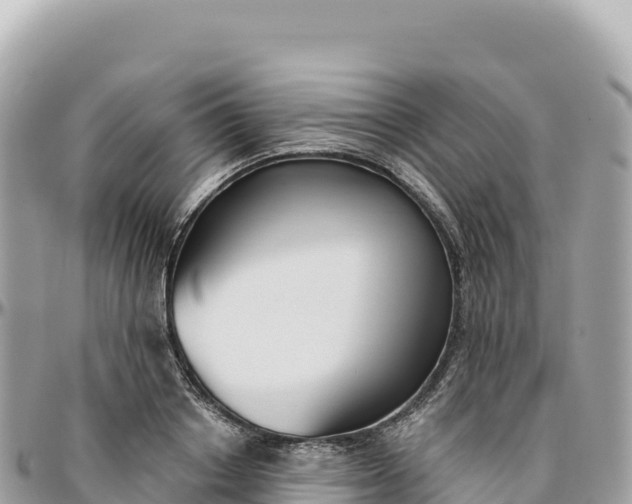 X0000095880842200801251138