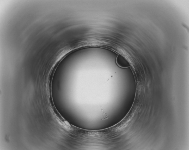 X0000095880843200801251139