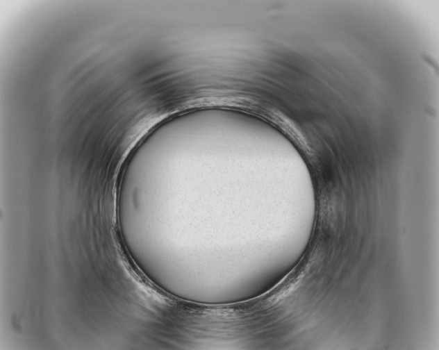 X0000095880844200801251139