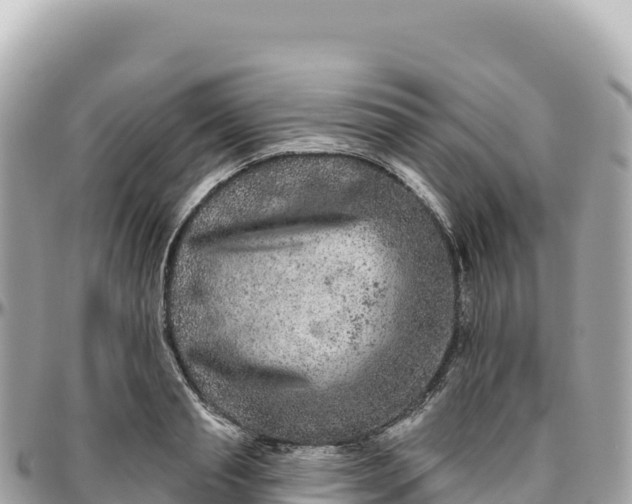 X0000095880845200801251139