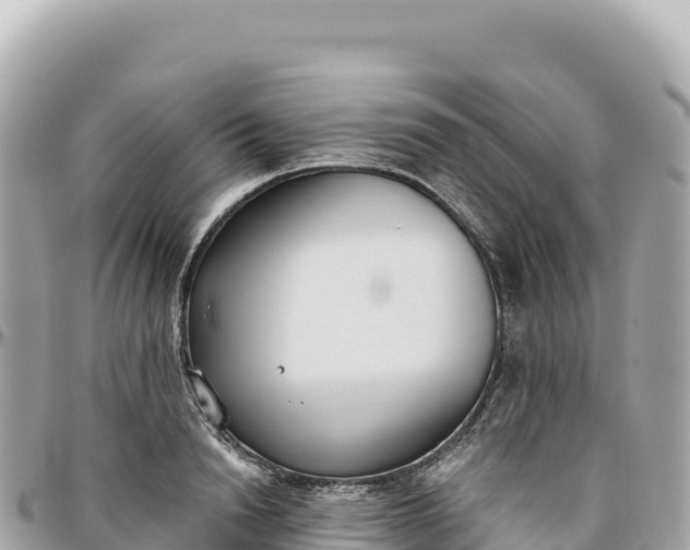 X0000095880846200801251139