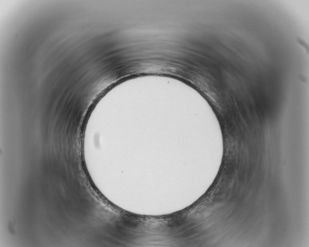 X0000095880848200801251139