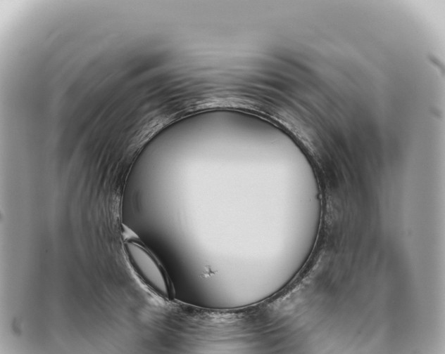 X0000095880849200801251139