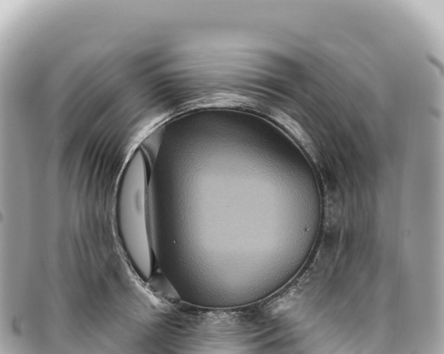 X0000095880850200801251139