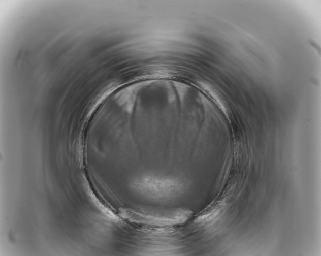 X0000095880851200801251139