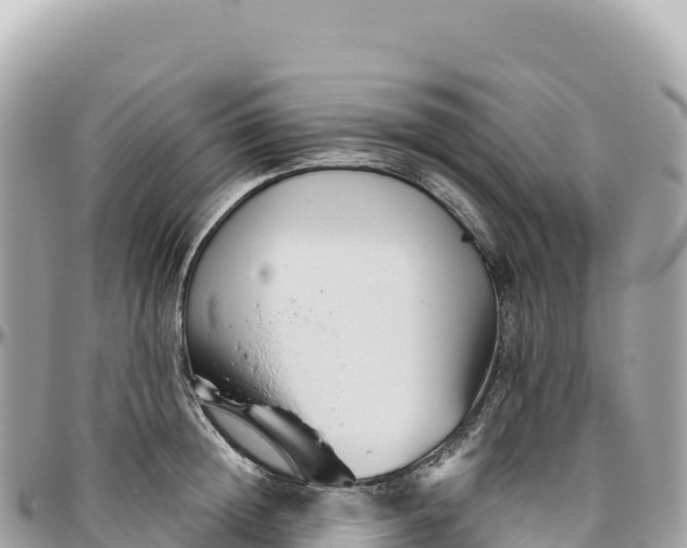 X0000095880852200801251139