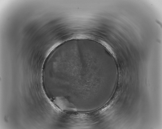 X0000095880853200801251139