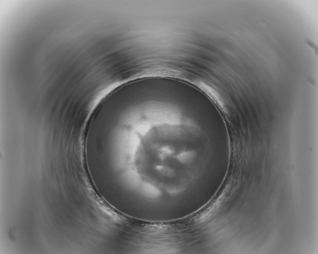 X0000095880854200801251139