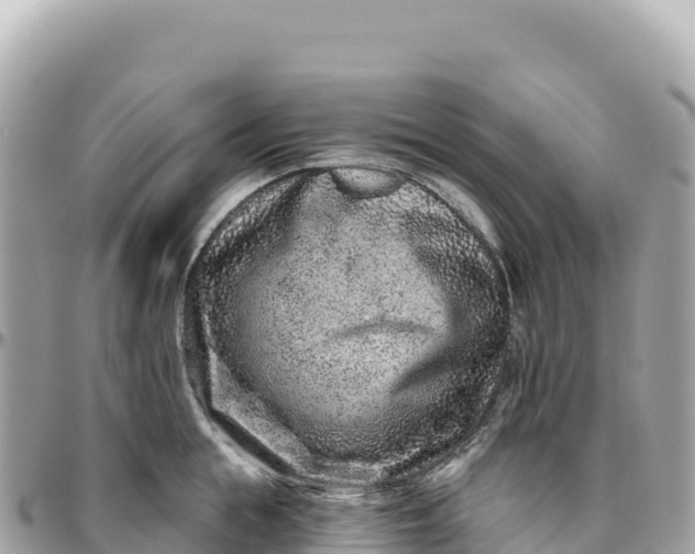 X0000095880855200801251139