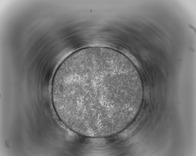 X0000095880856200801251139