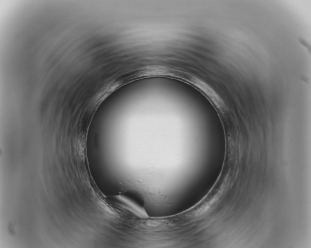 X0000095880857200801251139