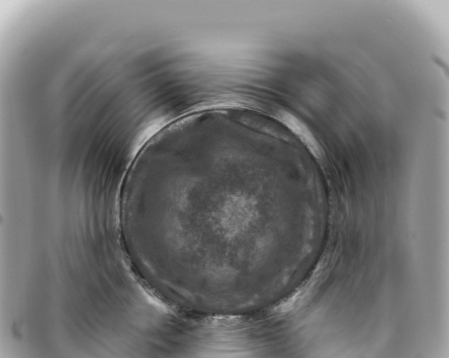 X0000095880858200801251139